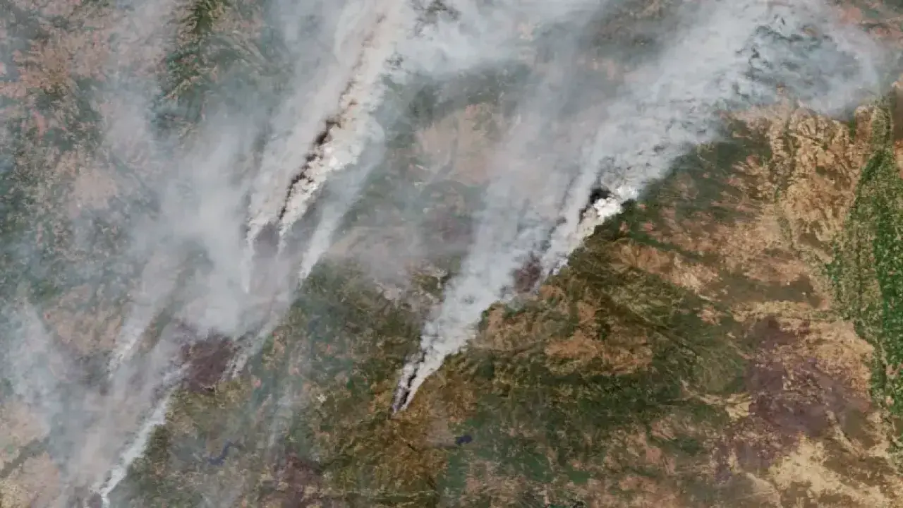 Беспрецедентные по силе лесные пожары в последние недели опустошили север Испании / Фото Copernicus