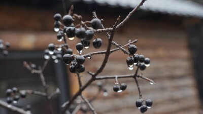 Прогноз погоды на 14 ноября: сильный ветер и обильные осадки на большей части территории Казахстана