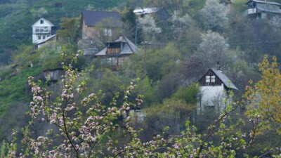 В каких условиях живут люди на дачах близ Алматы