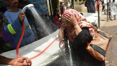 Температура влажного термометра: как понять, насколько опасна жара