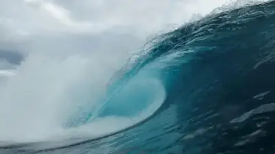 Почему темнеет Мировой океан и чем это грозит?