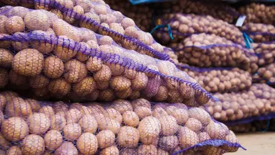 Картофель сгниёт, цены взлетят. Казахстанским фермерам не дают экспортировать урожай