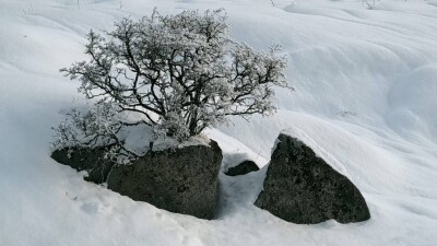 Прогноз погоды на 28 ноября: температуры в ряде регионов опустятся ниже 30 градусов мороза