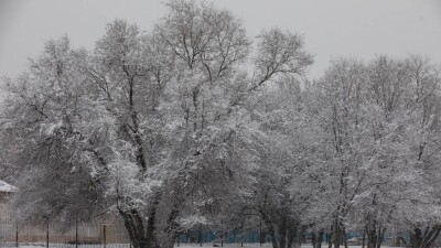 Прогноз погоды на 2 января: неделя начнётся с метелей и гололёда в ряде регионов