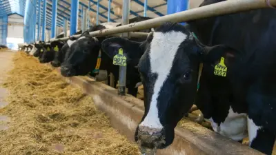 Субсидии не подарок, а инструмент выживания агропромышленного комплекса – аграрии