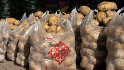 При своевременных решениях СПК цены на картофель могли быть зафиксированы и текущая ситуация была бы смягчена