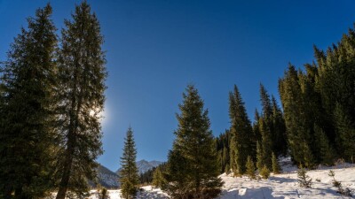 Прогноз погоды на 19 декабря: на западе и севере Казахстана ожидаются осадки