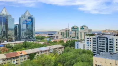 Сколько деревьев высадят в Алматы в 2026-м и сколько заставят посадить за одно самовольно срубленное