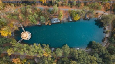 Мы живём стереотипами, что в Казахстане могут расти только сосна и берёза