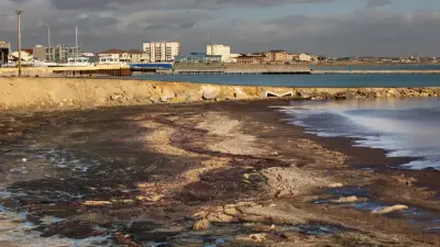 Экологи о варварской эксплуатации Каспия: Мы вынуждены обращаться к высшему руководству страны