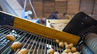 Социально-предпринимательские корпорации: институты развития, которые не развивают