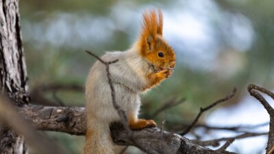 Прогноз погоды на 26 сентября: на севере заметно прохладнее, на юге по-прежнему жарко