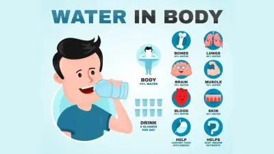 Сколько нужно пить в жару: неожиданные факты о воде, которые подтверждают научные исследования