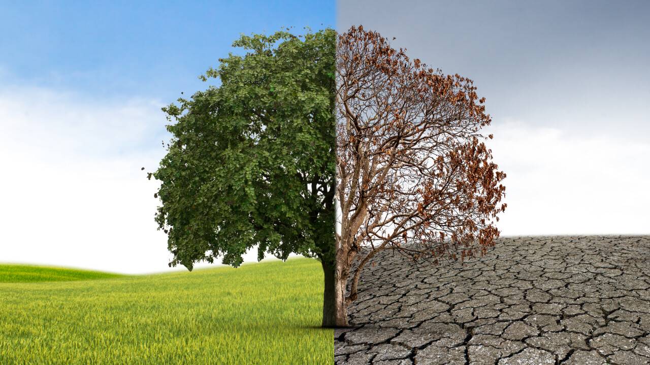 Фото с сайта depositphotos.com