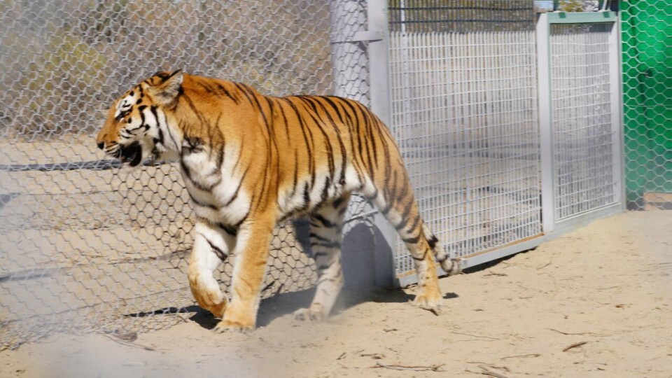 Фото WWF