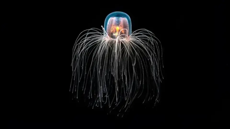 Фото Getty Images