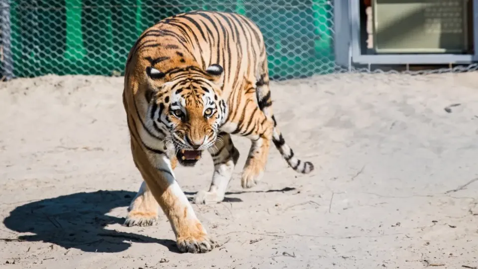 Фото WWF