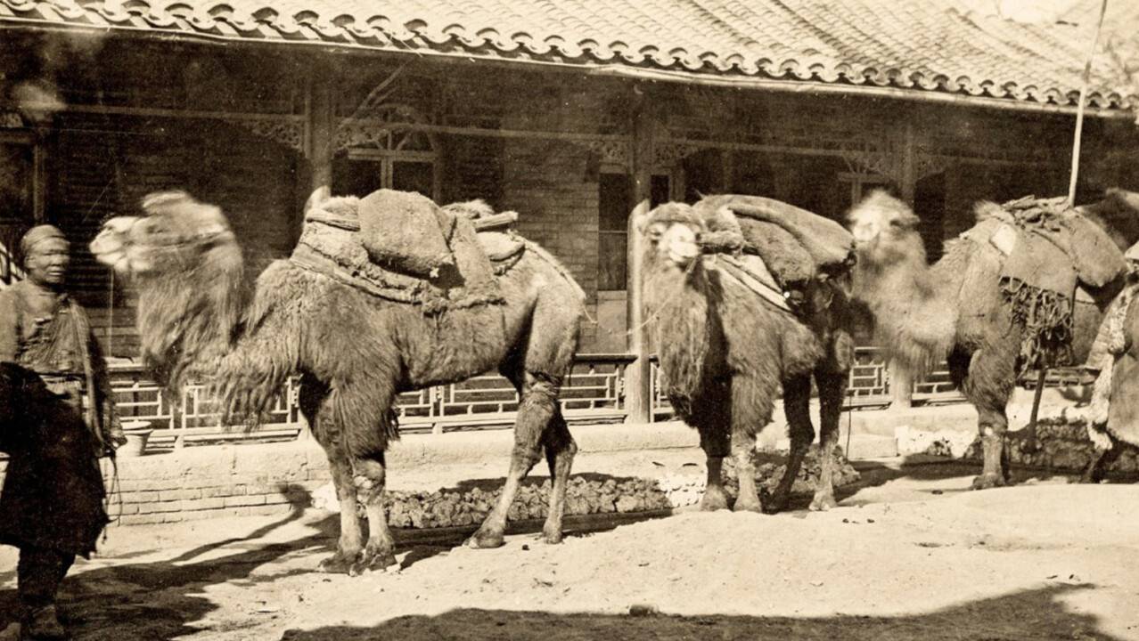 Фото с сайта Shoqan.kz