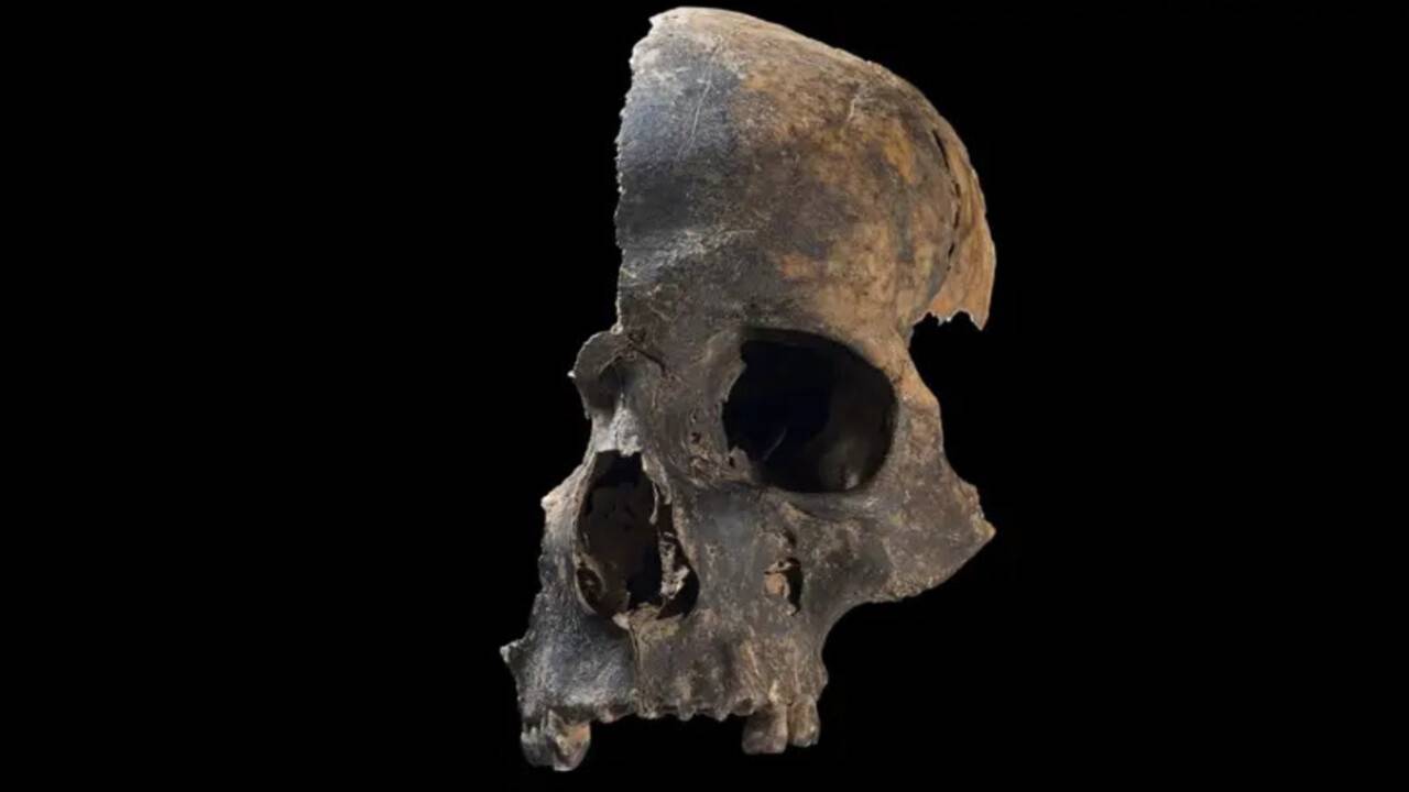 Фото Rick Schulting