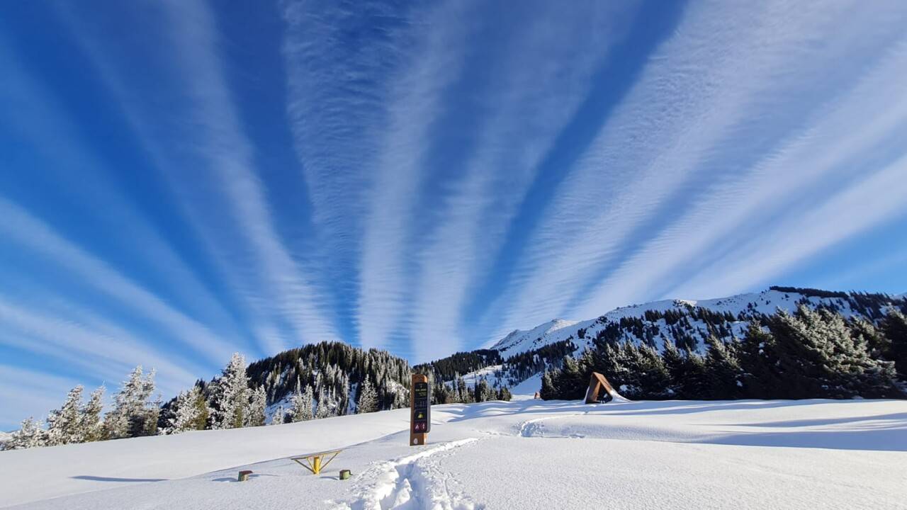 Фото Informburo.kz