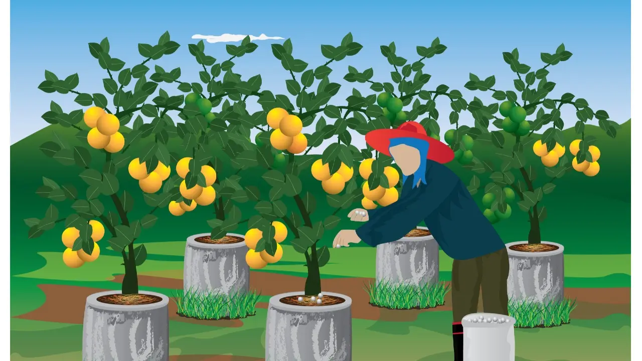 Иллюстрация Depositphotos.com