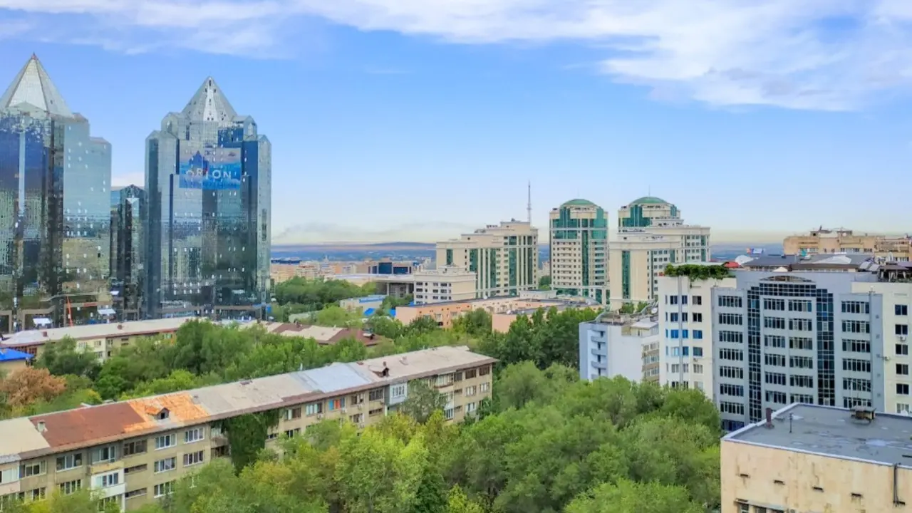 Сколько деревьев высадят в Алматы в 2026-м и сколько заставят посадить за одно самовольно срубленное