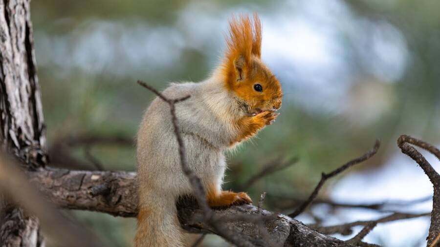 Прогноз погоды на 26 сентября: на севере заметно прохладнее, на юге по-прежнему жарко