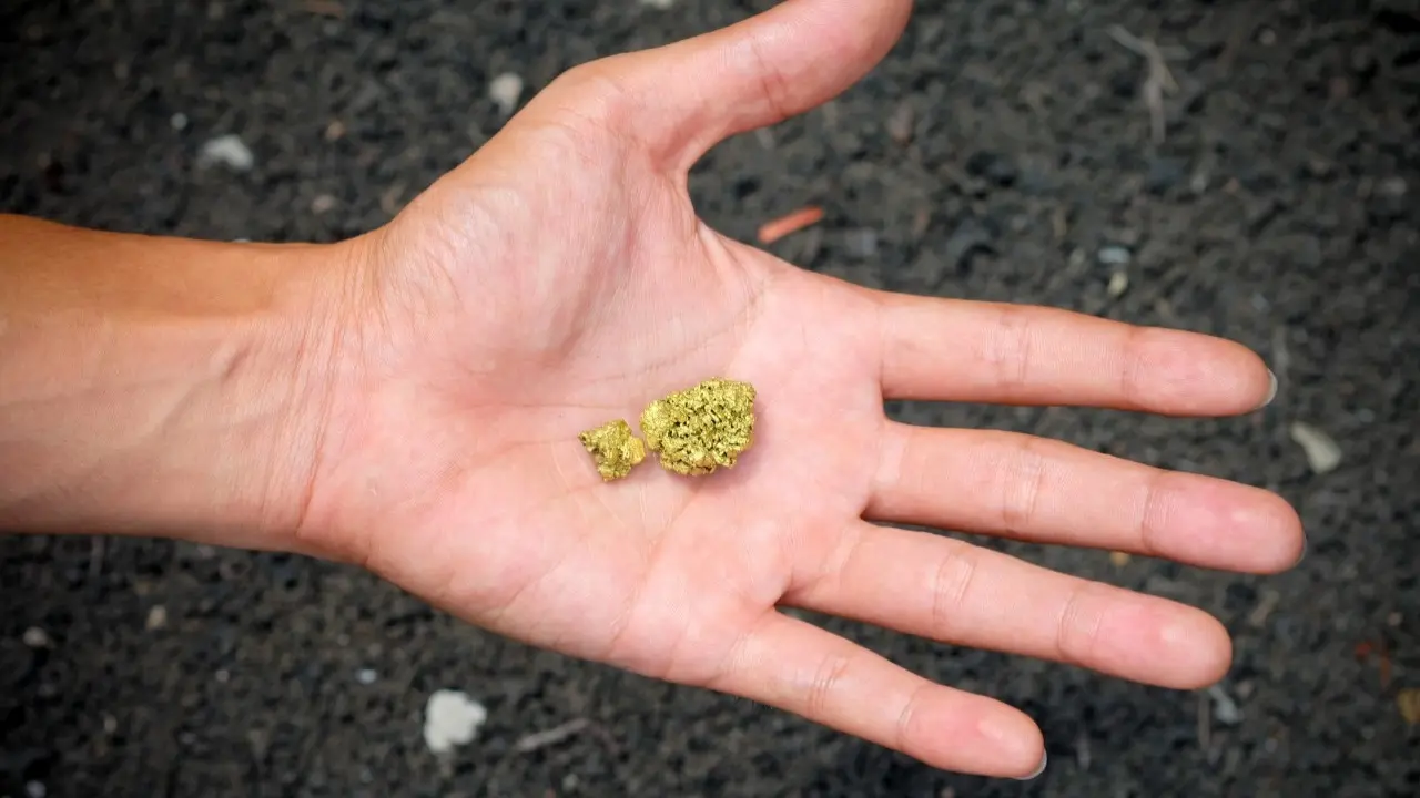 Иллюстративное фото Depositphotos.com 