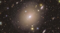 "Большая редкость". Телескоп Евклид запечатлел кольцо Эйнштейна, искривляющее пространство-время