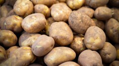 Костанайских продавцов уличили в завышении цен на картофель