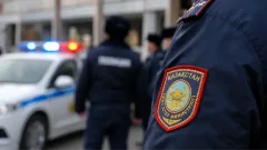 В деле об убийстве Нурай Серикбай пока нет новых подозреваемых – МВД