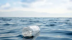 Японские учёные создали пластик, который растворяется в морской воде за час