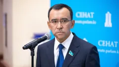 "Пусть конкурируют". Ашимбаев поддержал появление новой партии