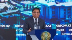 Списки Досаева: аким объяснил, зачем ему данные о количестве негативных упоминаний о нём