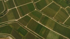 В Казахстане появится служба контроля за использованием земли