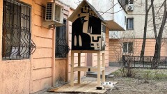 Первый домик для бездомных кошек появился в Алматы