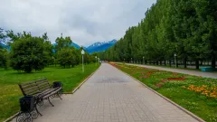 Заражённого клеща нашли в парке первого президента в Алматы