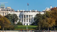 Трамп проведёт турнир UFC в Белом доме в день своего 80-летия