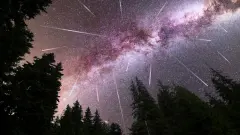 Казахстанцы смогут наблюдать звездопад Персеиды в лучших за несколько лет условиях