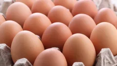 Продлить запрет на ввоз куриных яиц планируют в Казахстане