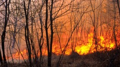 Степной пожар в Карагандинской области охватил более 3000 га, жителей эвакуируют
