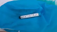 Новый случай хантавируса заподозрили на одном из самых удалённых островов мира