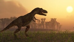 Учёные нашли в Чили кости пернатых динозавров и огромных доисторических хищников