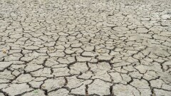 "Ужасные последствия". Учёные спрогнозировали достижение климатического порога в 1,5°С в 2029 году