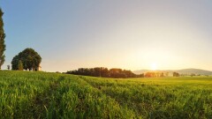 1340 га пастбищ вернули государству: суд отменил договор с ТОО в Конаеве