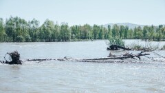 Пик паводков пройден в большинстве регионов Казахстана