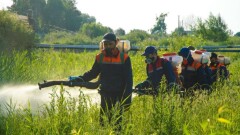 Почему астанчанам рекомендуют не гулять в скверах и закрывать окна вечерами