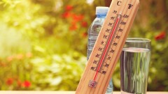 Жару до 46 градусов прогнозируют в выходные на юге Казахстана