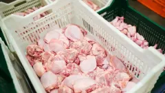 Более 42 тонн куриного филе вернули в Китай из-за нарушений при транзите через Казахстан