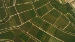 11 уголовных дел о незаконной выдаче земельных участков закрыли из-за отсутствия состава преступления